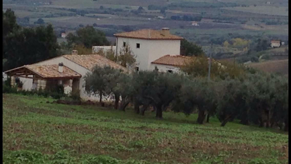 Villa Angiolina, Molise Guglionesi Ngoại thất bức ảnh