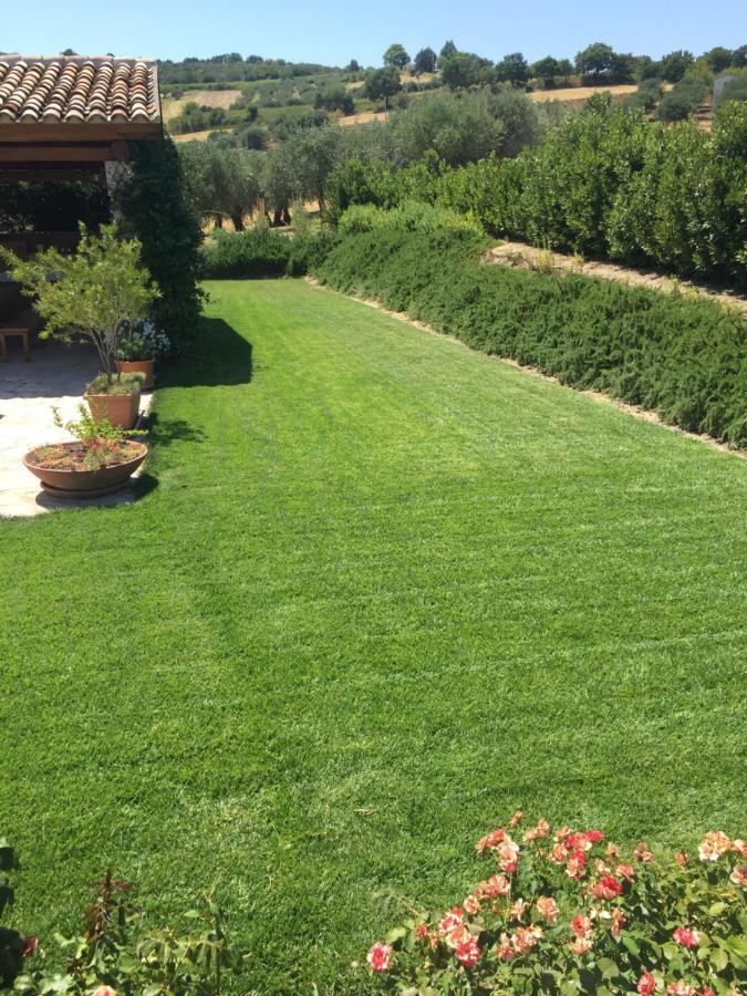 Villa Angiolina, Molise Guglionesi Ngoại thất bức ảnh